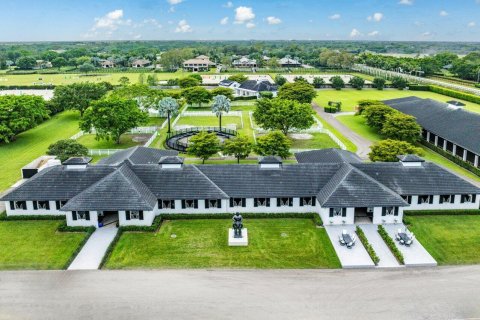 Villa ou maison à vendre à Wellington, Floride: 4 chambres, 327.11 m2 № 1186413 - photo 19