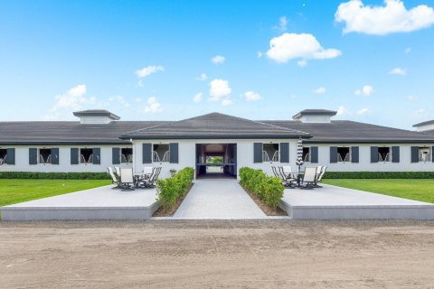 Villa ou maison à vendre à Wellington, Floride: 4 chambres, 327.11 m2 № 1186413 - photo 20