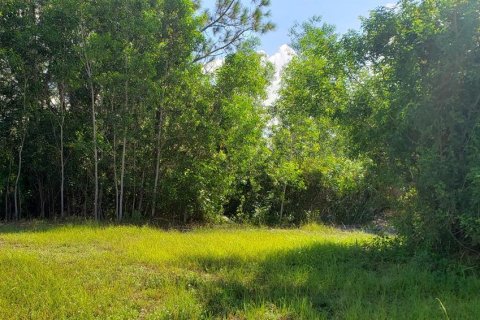 Купить земельный участок в Локсахатчи-Гроувс, Флорида № 71162 - фото 4
