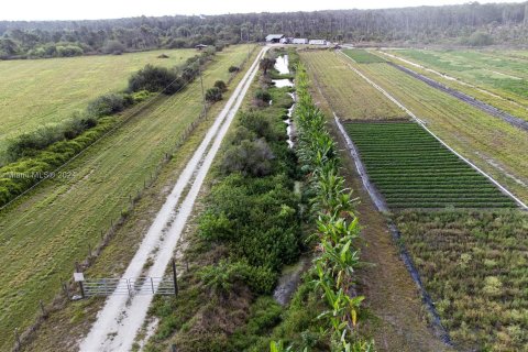 Terrain à vendre à Clewiston, Floride № 1138961 - photo 5