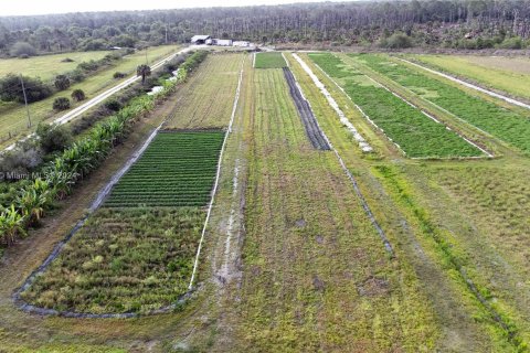 Terrain à vendre à Clewiston, Floride № 1138961 - photo 1