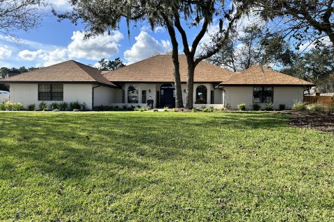 Villa ou maison à vendre à Jacksonville, Floride: 5 chambres, 409.05 m2 № 883674 - photo 1