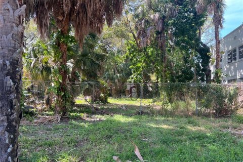 Terreno en venta en Tampa, Florida № 1297331 - foto 1