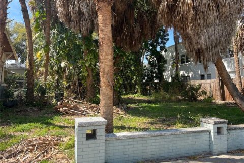 Terreno en venta en Tampa, Florida № 1297331 - foto 3