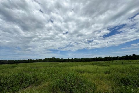 Land in Fort MC Coy, Florida № 1338480 - photo 6