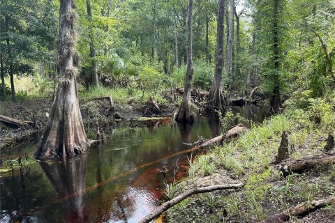 Land in Fort MC Coy, Florida № 1338480 - photo 8