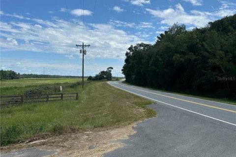 Land in Fort MC Coy, Florida № 1338480 - photo 18