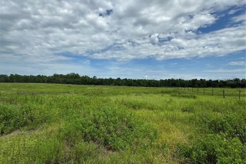 Land in Fort MC Coy, Florida № 1338480 - photo 5