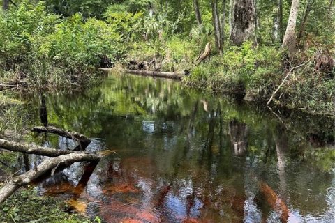 Land in Fort MC Coy, Florida № 1338480 - photo 1