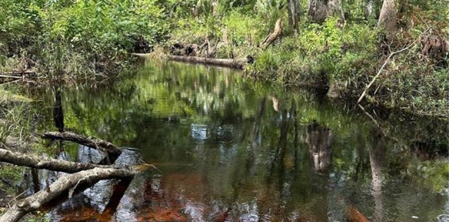 Terreno en Fort MC Coy, Florida № 1338480