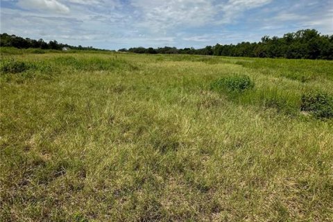 Land in Fort MC Coy, Florida № 1338480 - photo 11