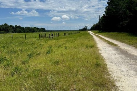 Land in Fort MC Coy, Florida № 1338480 - photo 12