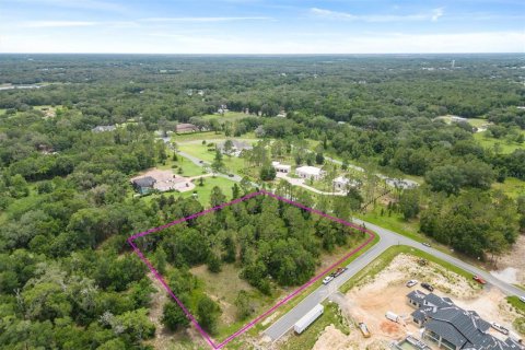 Terreno en venta en Lady Lake, Florida № 1409601 - foto 1