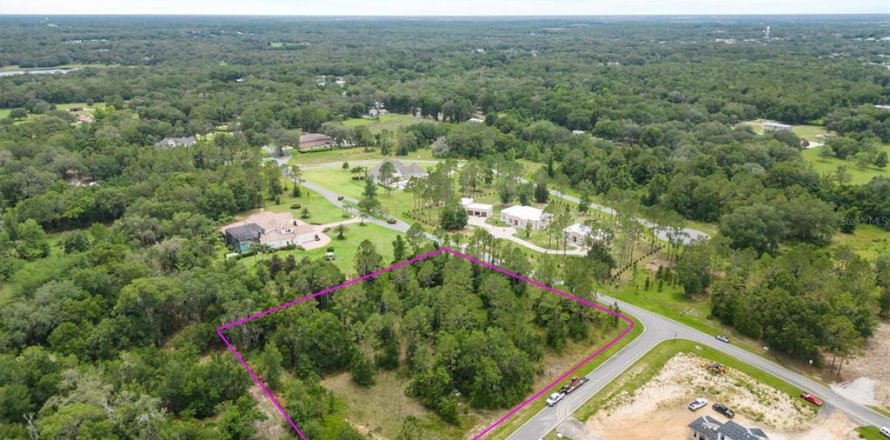 Terreno en Lady Lake, Florida № 1409601