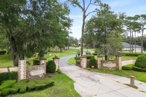 Terreno en venta en Lady Lake, Florida № 1409601 - foto 4