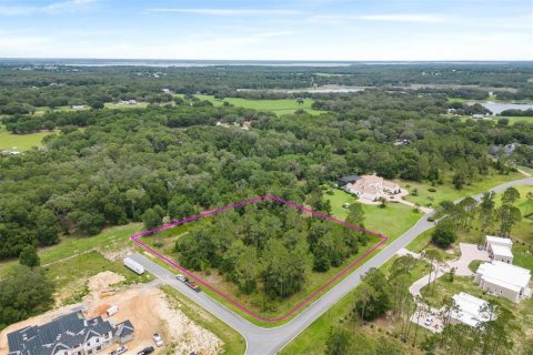 Terreno en venta en Lady Lake, Florida № 1409601 - foto 2