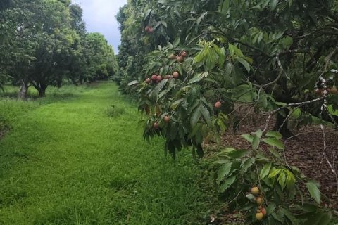 Terreno en venta en Miami, Florida № 1177180 - foto 5