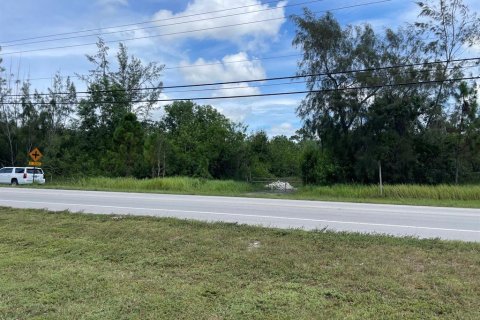 Купить земельный участок в Локсахатчи-Гроувс, Флорида № 691795 - фото 3