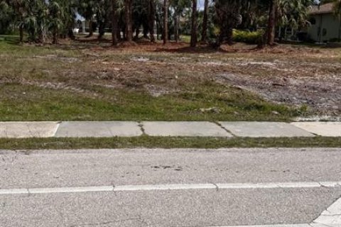 Terreno en venta en Rotonda, Florida № 414141 - foto 1