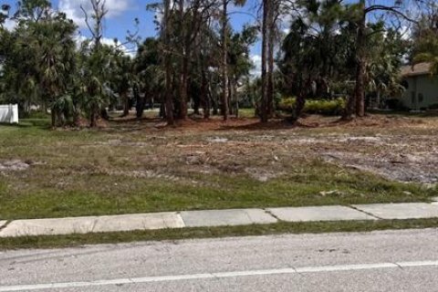 Terreno en venta en Rotonda, Florida № 414141 - foto 2