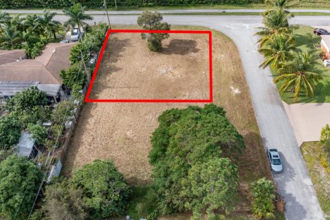 Купить земельный участок в Бойнтон-Бич, Флорида № 868672 - фото 3