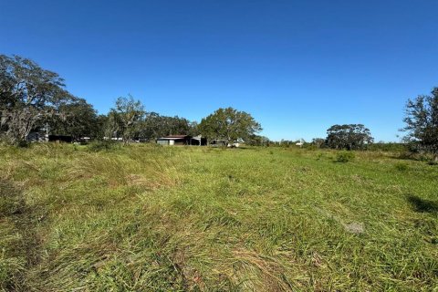 Terreno en venta en Saint Cloud, Florida № 1419429 - foto 2