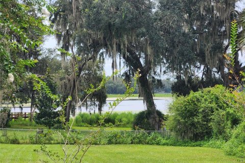 Terrain à vendre à Dunnellon, Floride № 1336186 - photo 7