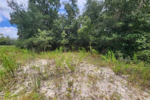 Terrain à vendre à Dunnellon, Floride № 1336186 - photo 12