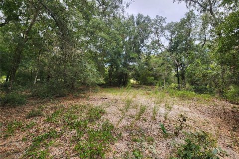 Terreno en venta en Dunnellon, Florida № 1336186 - foto 16