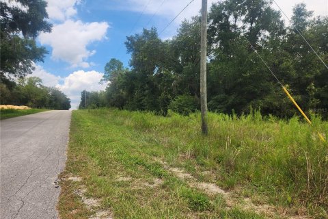 Land in Dunnellon, Florida № 1336186 - photo 2