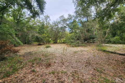 Terreno en venta en Dunnellon, Florida № 1336186 - foto 10