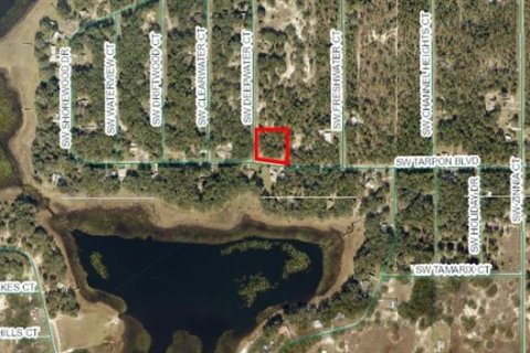 Terreno en venta en Dunnellon, Florida № 1336186 - foto 20