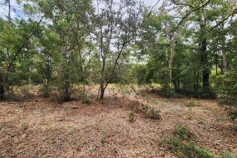 Land in Dunnellon, Florida № 1336186 - photo 17