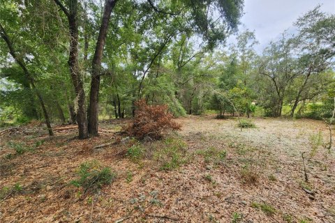 Terreno en venta en Dunnellon, Florida № 1336186 - foto 8