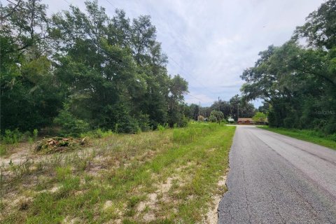 Land in Dunnellon, Florida № 1336186 - photo 1