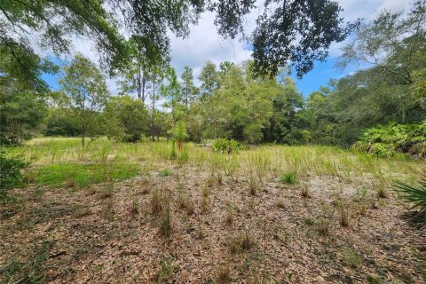 Terreno en venta en Dunnellon, Florida № 1336186 - foto 18