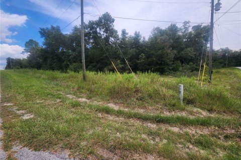 Land in Dunnellon, Florida № 1336186 - photo 5