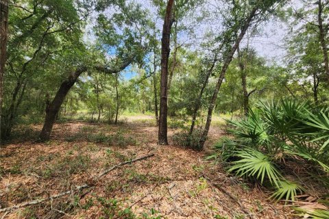 Terreno en venta en Dunnellon, Florida № 1336186 - foto 11