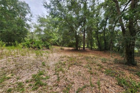 Terreno en venta en Dunnellon, Florida № 1336186 - foto 14