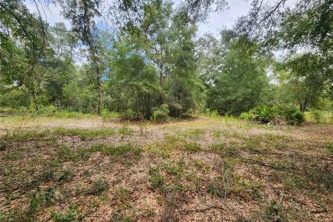 Land in Dunnellon, Florida № 1336186 - photo 19