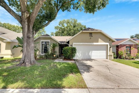 Villa ou maison à vendre à Riverview, Floride: 3 chambres, 156.63 m2 № 1347369 - photo 1