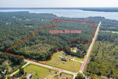 Terreno en venta en Palatka, Florida № 1378474 - foto 1