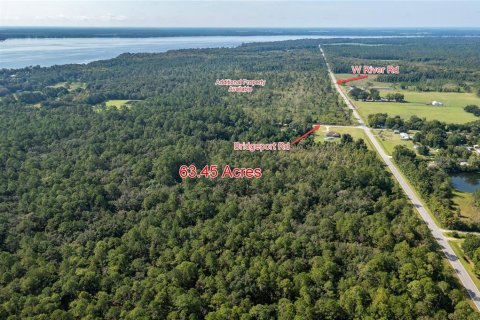 Terreno en venta en Palatka, Florida № 1378474 - foto 2