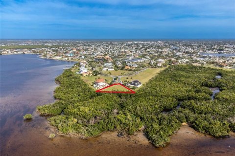 Land in Port Charlotte, Florida № 970766 - photo 11