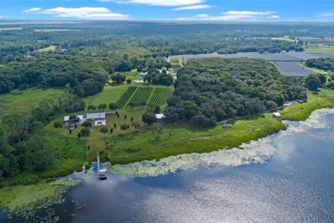 Land in Seville, Florida № 1372995 - photo 9