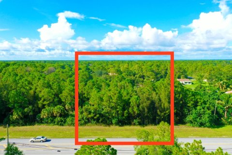 Купить земельный участок в Уэст-Палм-Бич, Флорида № 40478 - фото 11