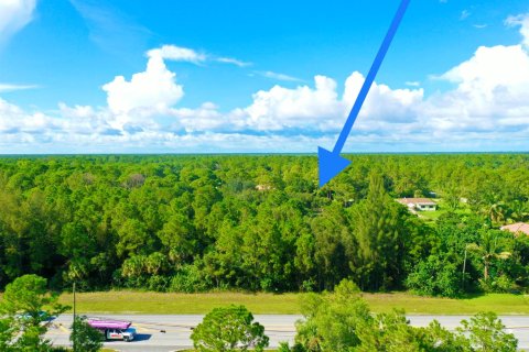 Купить земельный участок в Уэст-Палм-Бич, Флорида № 40478 - фото 13