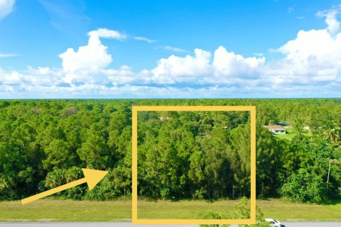 Купить земельный участок в Уэст-Палм-Бич, Флорида № 40478 - фото 12