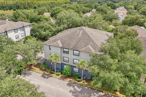 Condo in Temple Terrace, Florida, 2 bedrooms  № 1352655 - photo 26