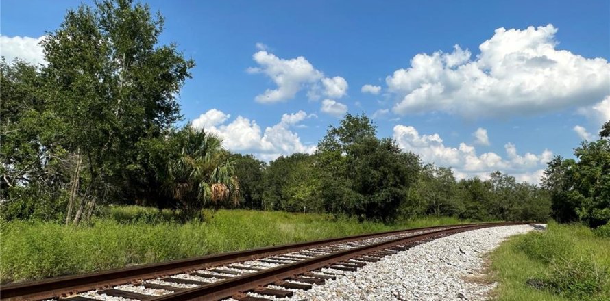 Terrain à Mulberry, Floride № 697349